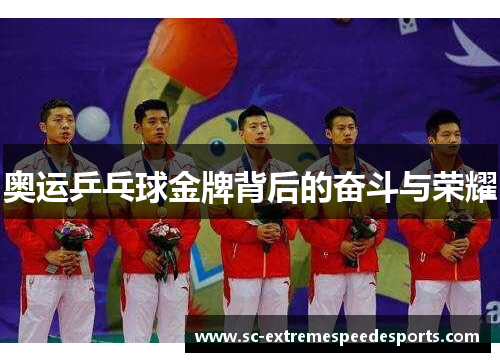 奥运乒乓球金牌背后的奋斗与荣耀 奥运乒乓球金牌背后的奋斗与荣耀